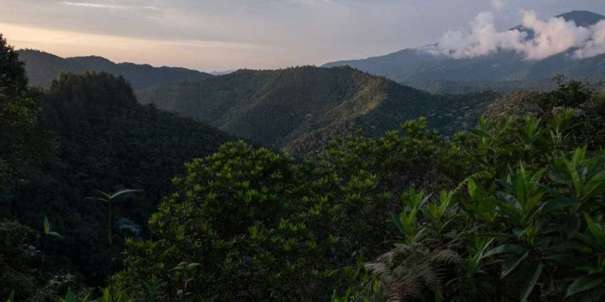 Aunque Colombia no es el mayor emisor de gases contaminantes, solo produce el 0,6 %, sí está entre los países más vulnerables a los efectos del cambio climático.