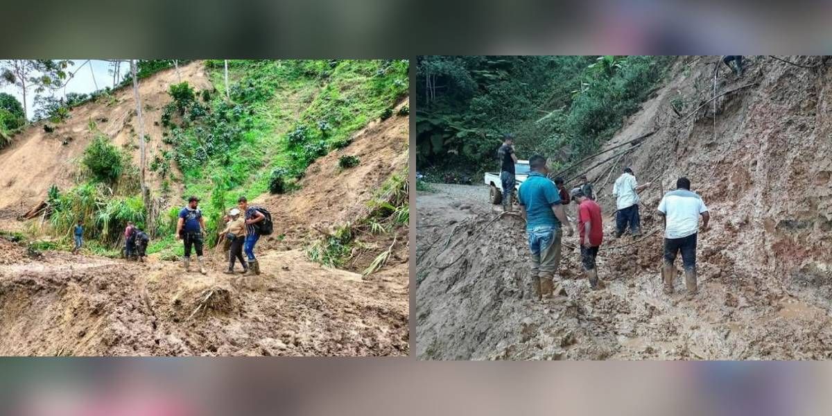 Más de 14 mil hectáreas de café están en riesgo de perderse.