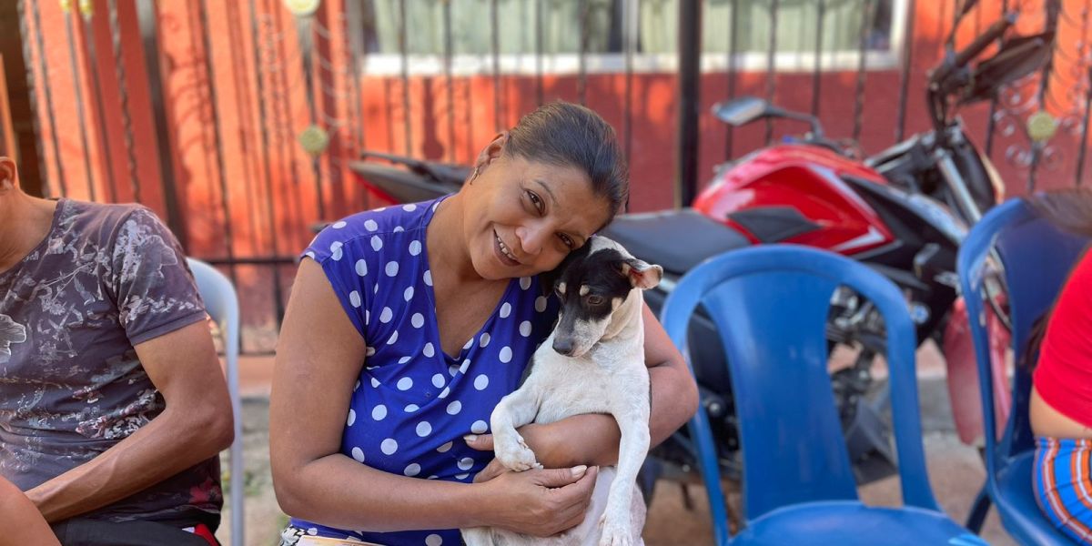 Distrito Esta canina es una de las 2.604 beneficiadas de las jornadas de esterilizaciones.