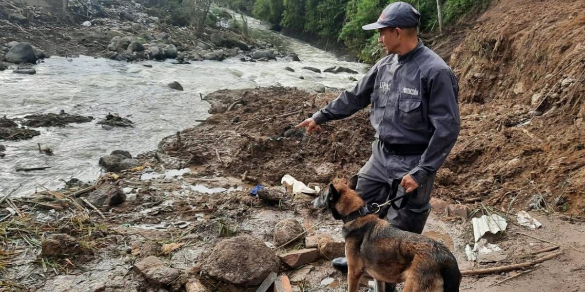Fiscalía Sasha, canina que encontró el cuerpo de Frankyn Estiven Velásquez.