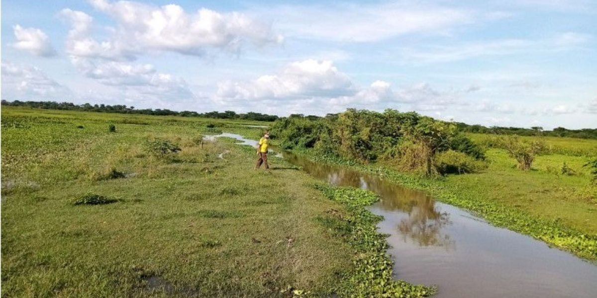 Los humedales a intervenir hacen parte de la red de cuerpos de agua del departamento del Magdalena