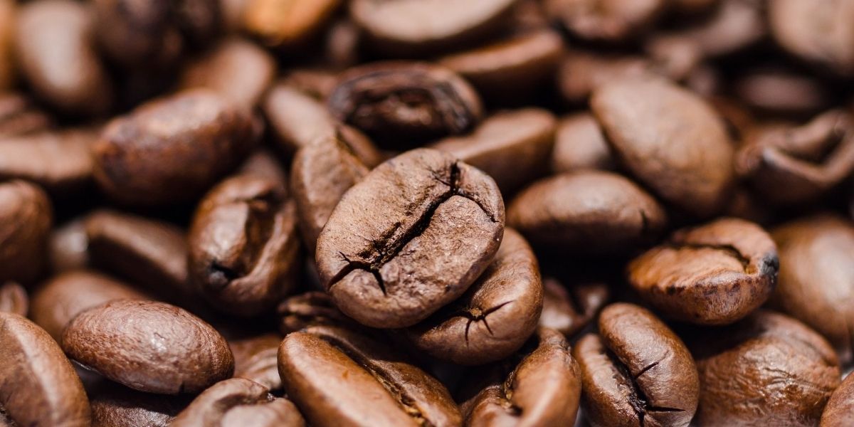 Seguimiento El sector cafetero representa el 15% del PIB agropecuario del país