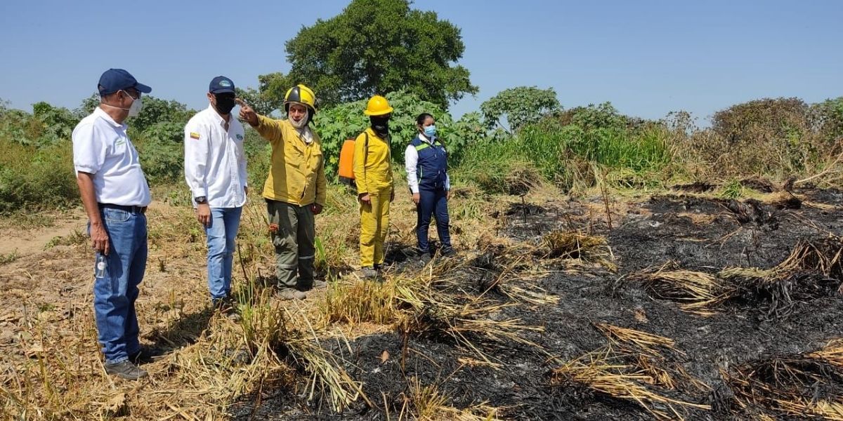 Cortesía Presuntamente, el incendio fue ocasionado por la preparación de suelos para uso agrícola