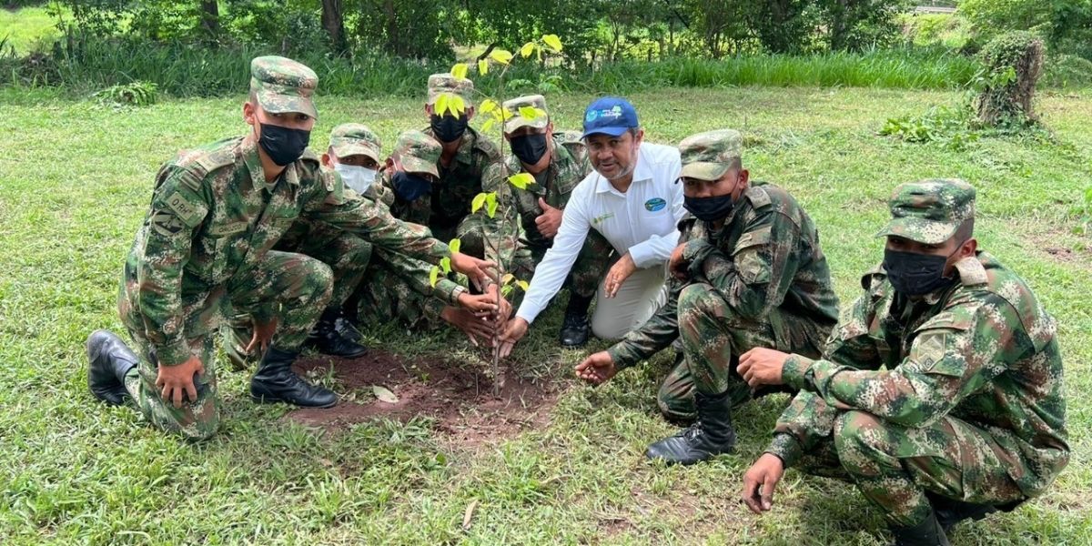 Del 22 al 29 de abril se sembrarán en el departamento del Magdalena especies nativas como Guácimo, Guayacán, Pui, Macondo, entre otros.