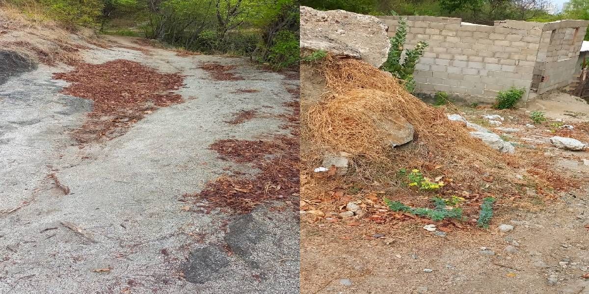 La problematica se registra en la vereda Mamoron.