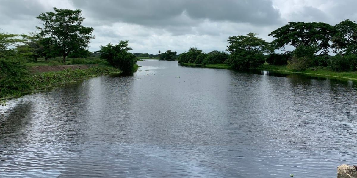 El Caño Vicente Caballero es un ramal del caño Ciego que desemboca en la Ciénaga Grande de Santa Marta.