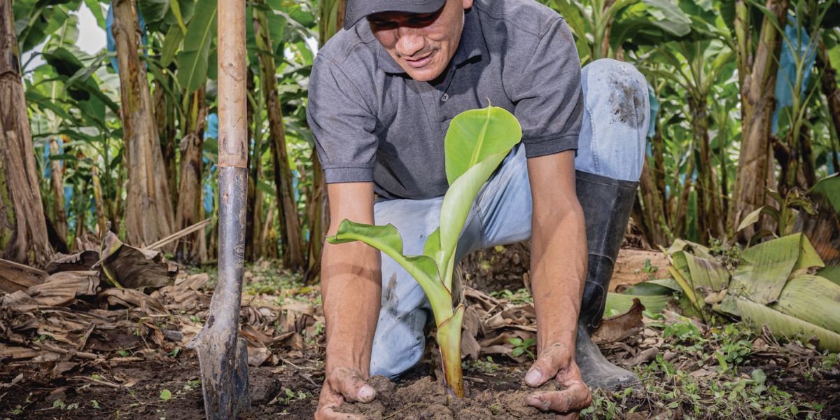 Augura El proyecto conjunto busca además de mejorar la capacidad productiva.