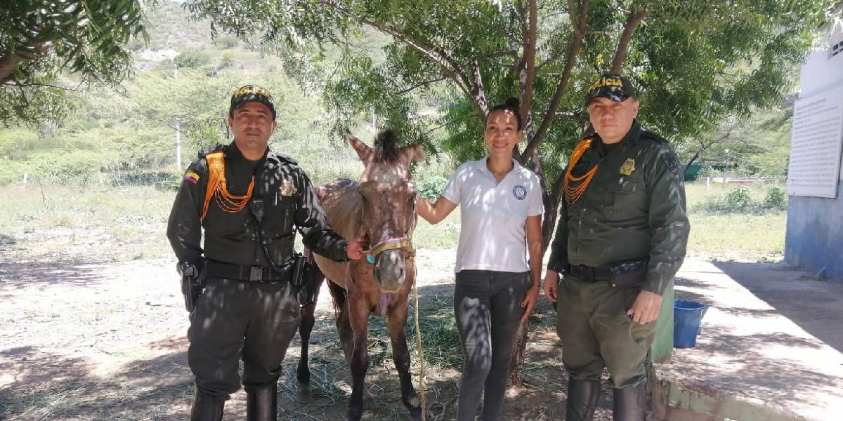 Valentín el caballo