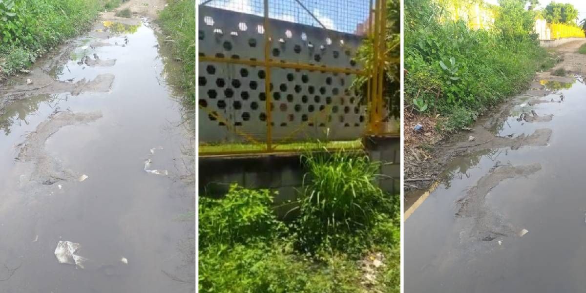 Santa Marta al Día Aguas negras en el sector