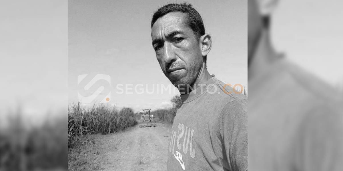 Seguimiento.co