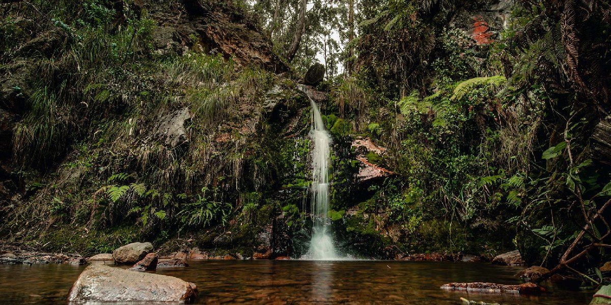 Quebrada Las Delicias