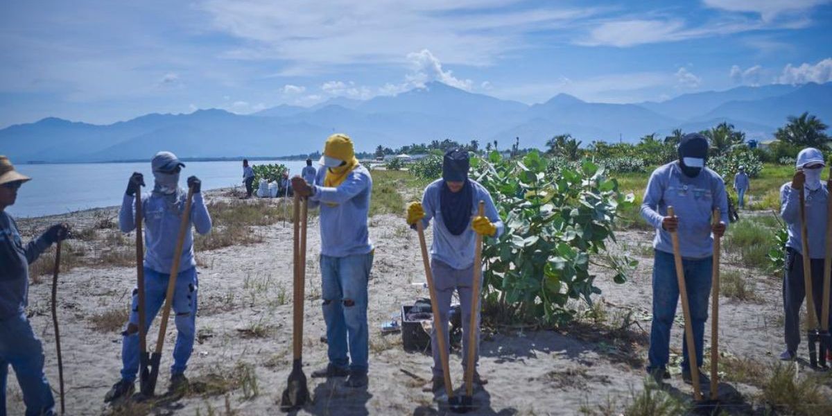 Proyecto de erosión costera en Puebloviejo