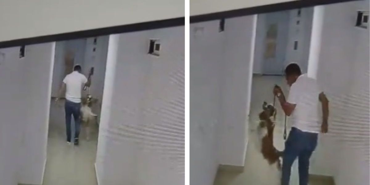 Cortesía Cámaras de vigilancia
