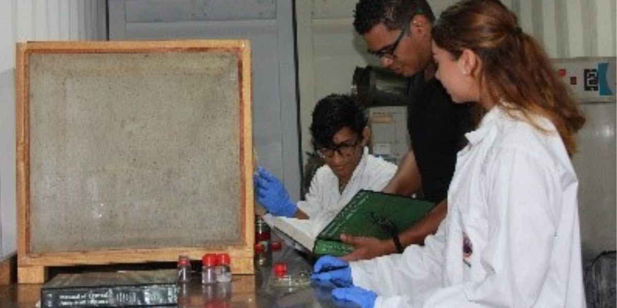 Cortesía Investigadores Unimagdalena.