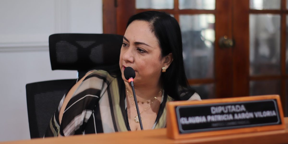 Claudia Aarón