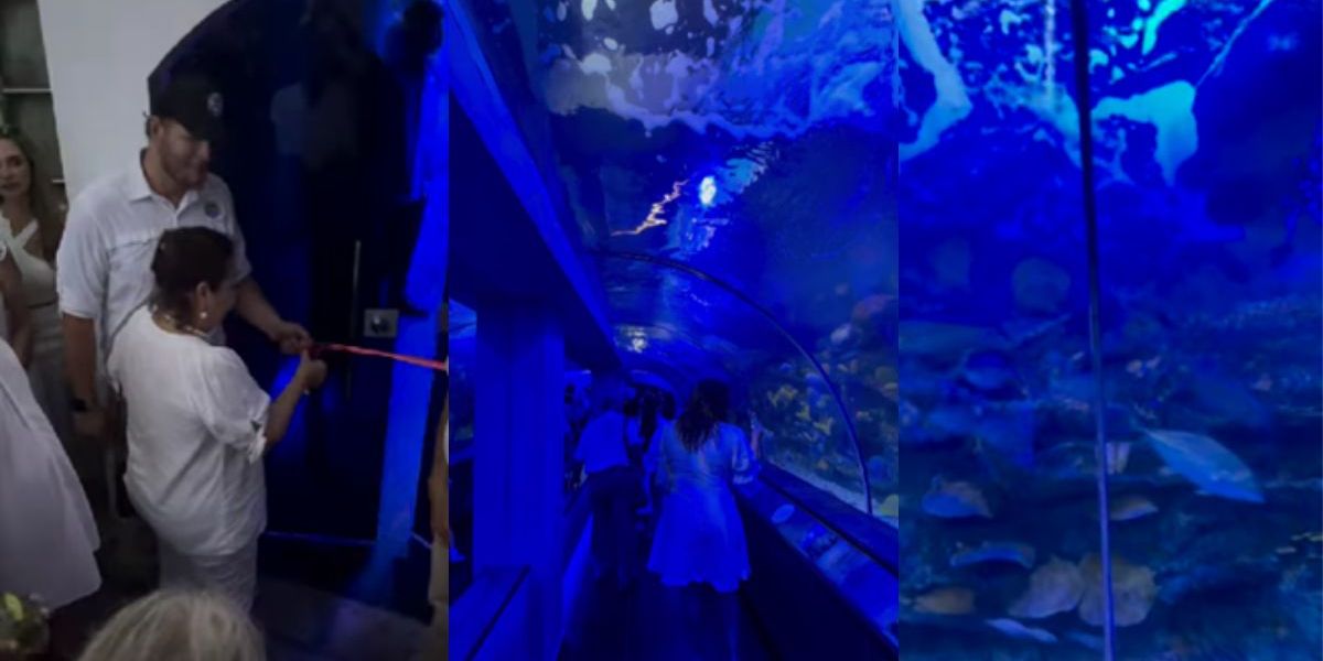 Santa Marta is Crazy Primer túnel acuario