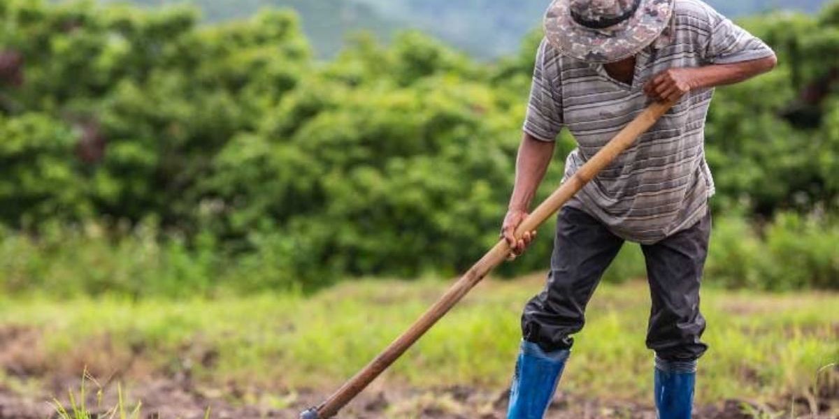 Procuraduría pide a  ANT informe ante la falta de claridad en la Reforma Rural Integral.