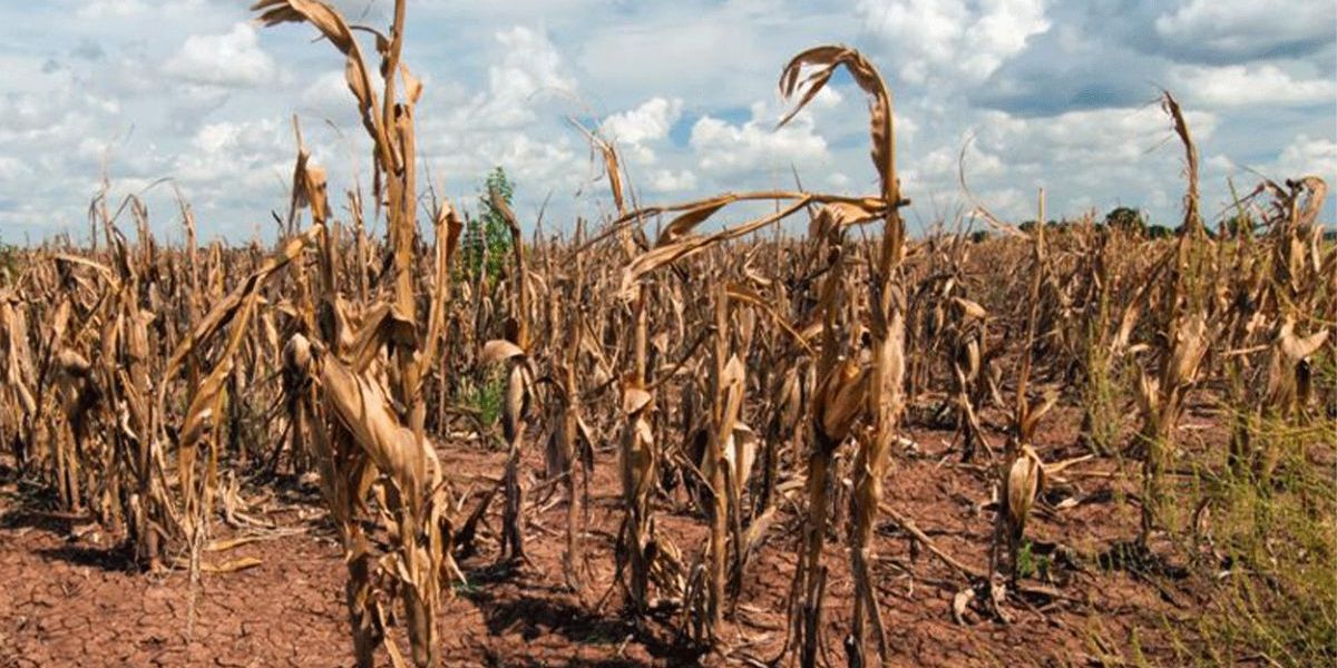 Las fuertes temperaturas podrían seguir aumentando en Latinoamérica 