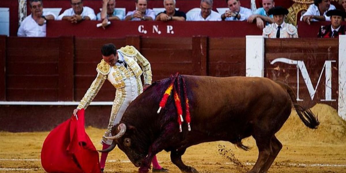 Tauromaquia en Colombia.