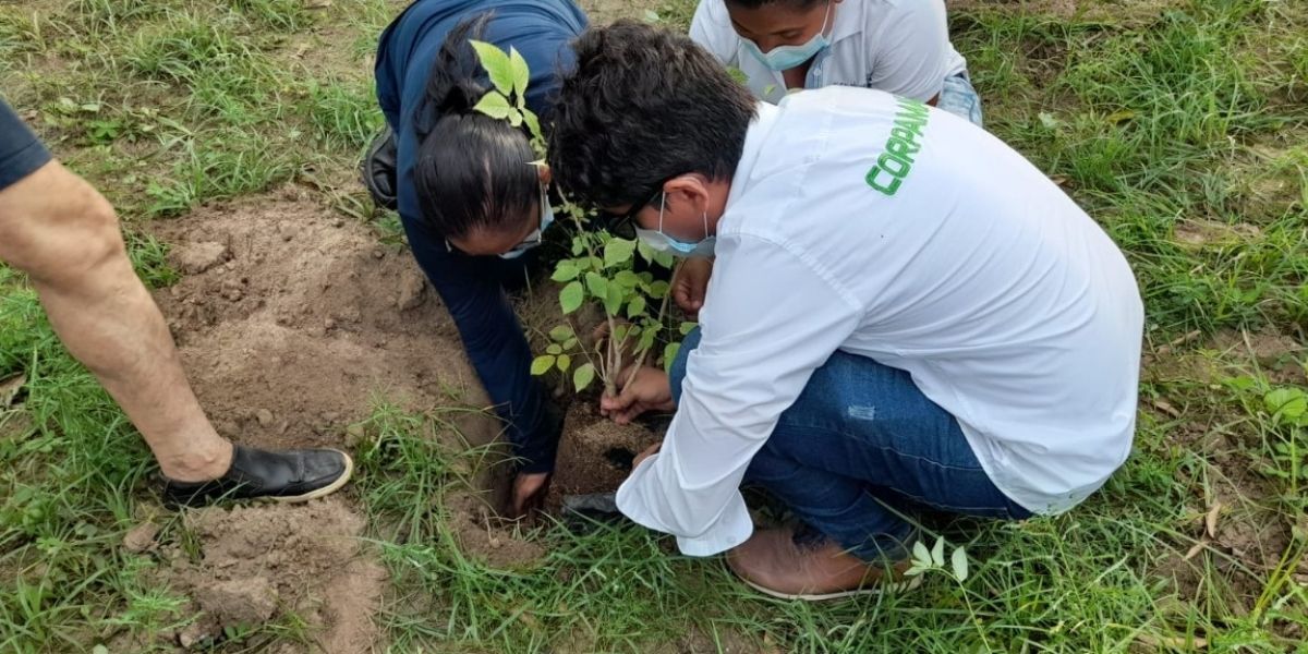 Corpamag Actividades de Corpamag - imagen de contexto.