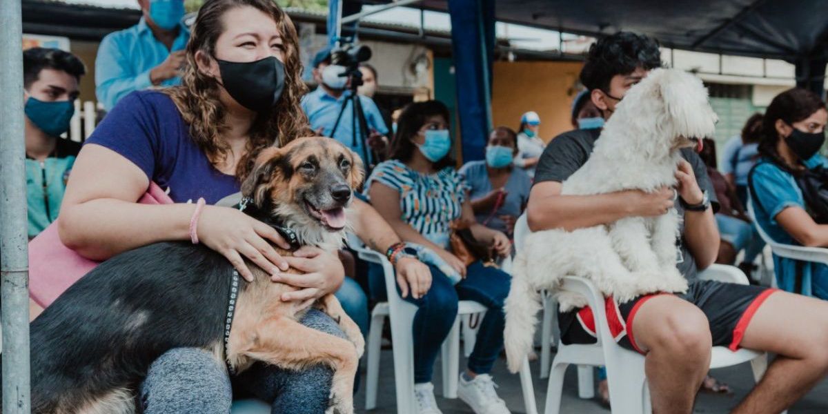 Jornadas de esterilización canina y felina