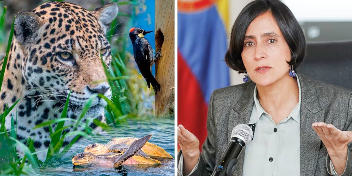 Cumbre de biodiversidad /La ministra de Ambiente, Susana Muhamad