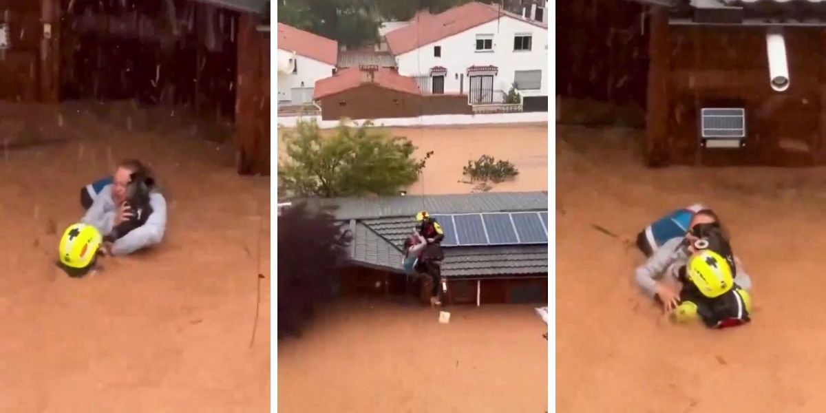 mujer siendo rescatada con su mascota.