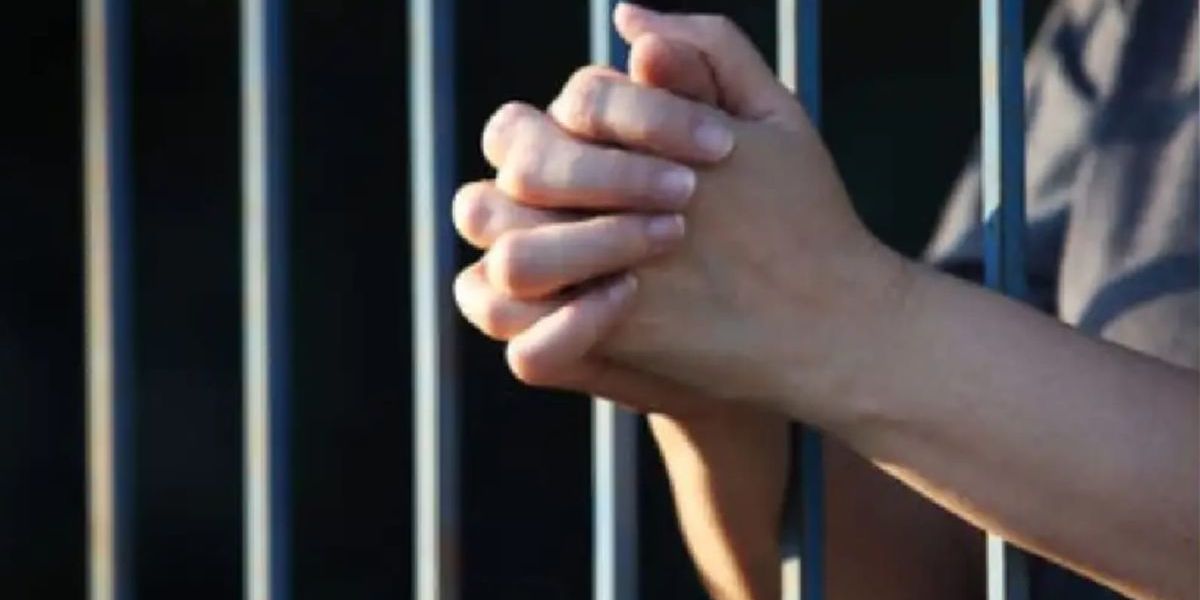 Imagen de referencia.