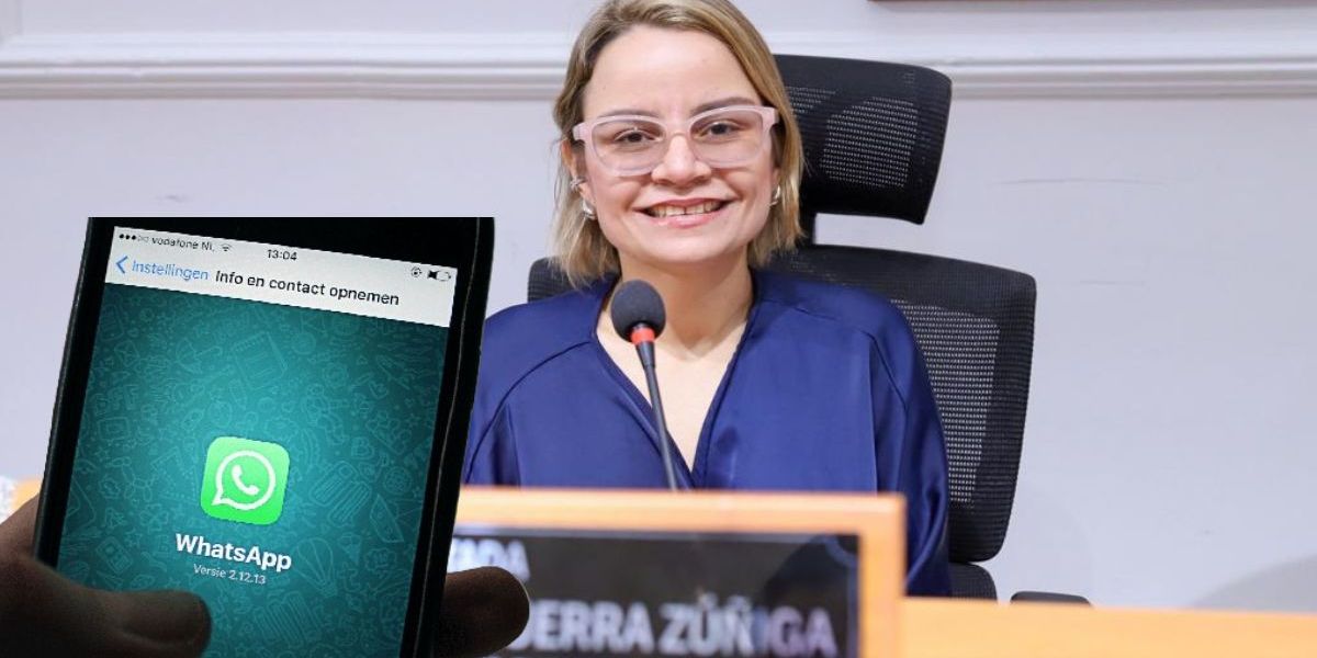 Diputada Margarita Guerra.