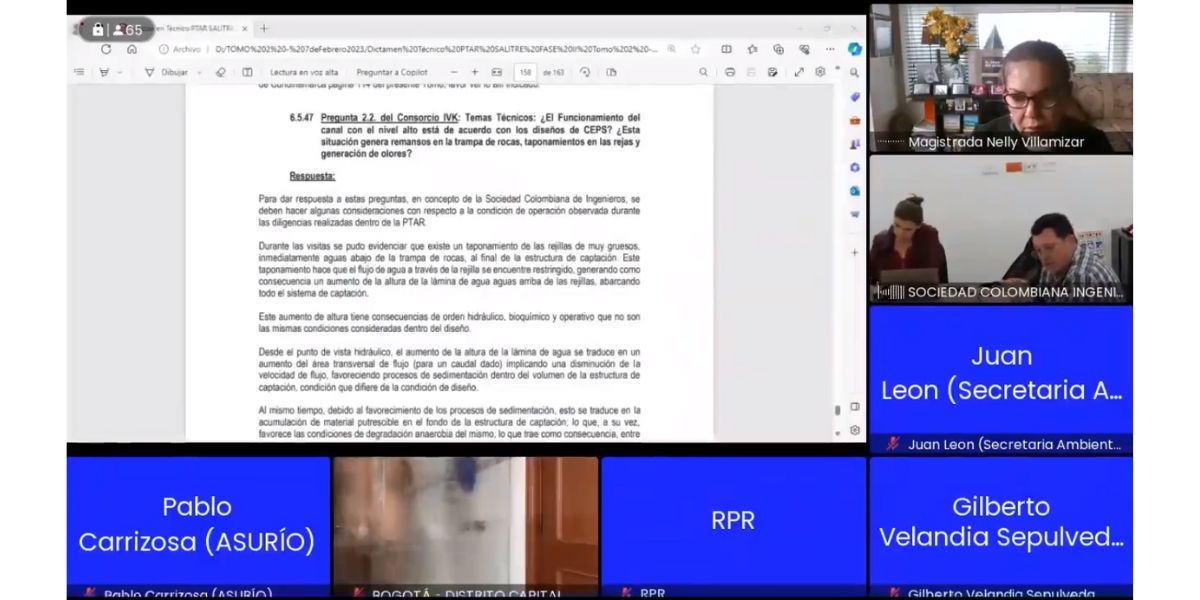 Capture de pantalla de la audiencia.