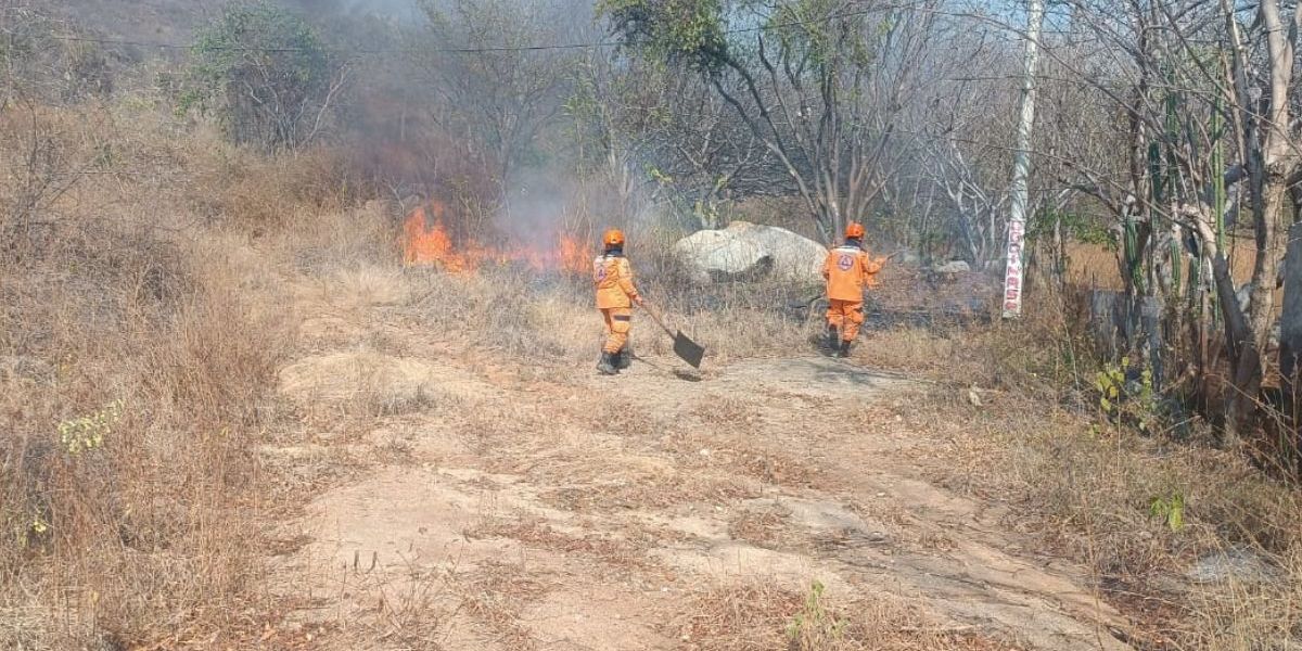 Incendios forestales en Bogotá