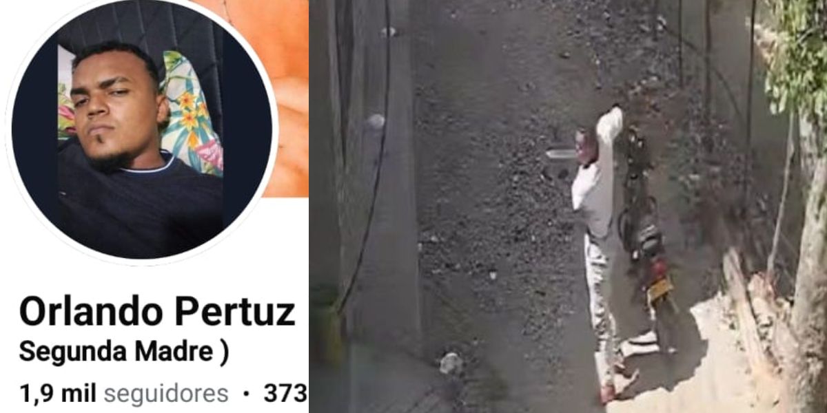 Seguimiento.co