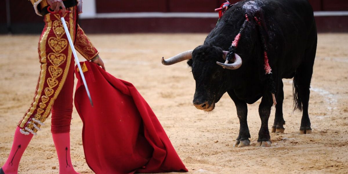 Corridas de toros