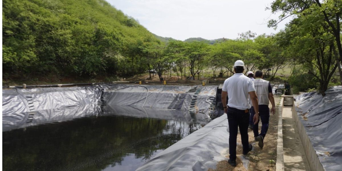Seguimiento. Inspección a Palangana