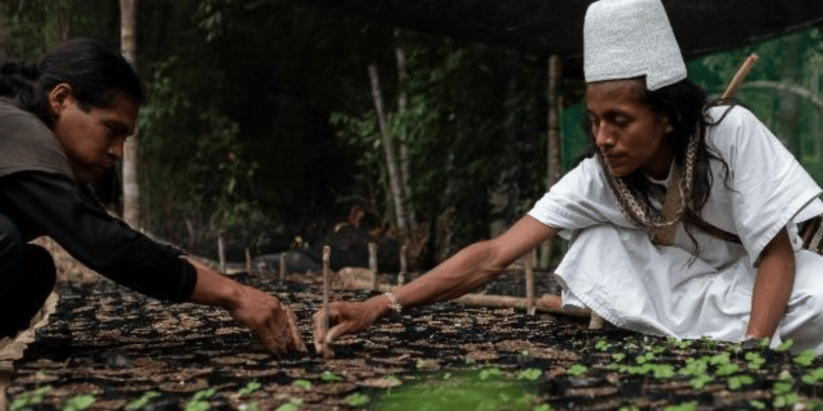 Pueblo indígena Arhuaco.