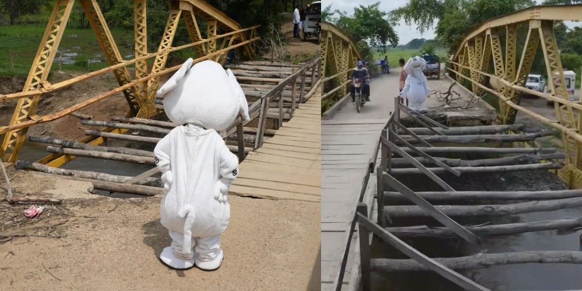 Elefante Blanco Colombia en el puente Michichoa