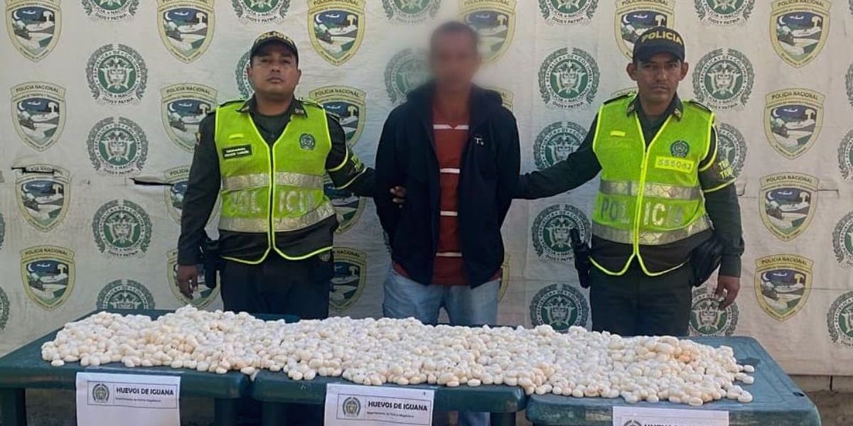 Policía del Magdalena. Capturado.