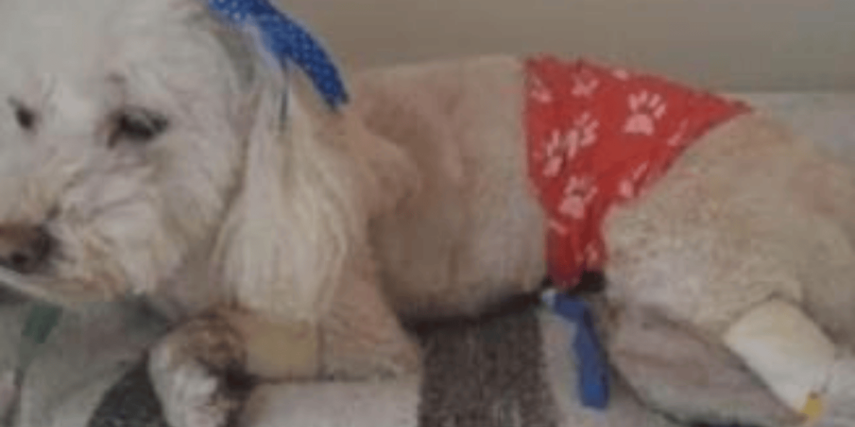 vía página web citynoticias