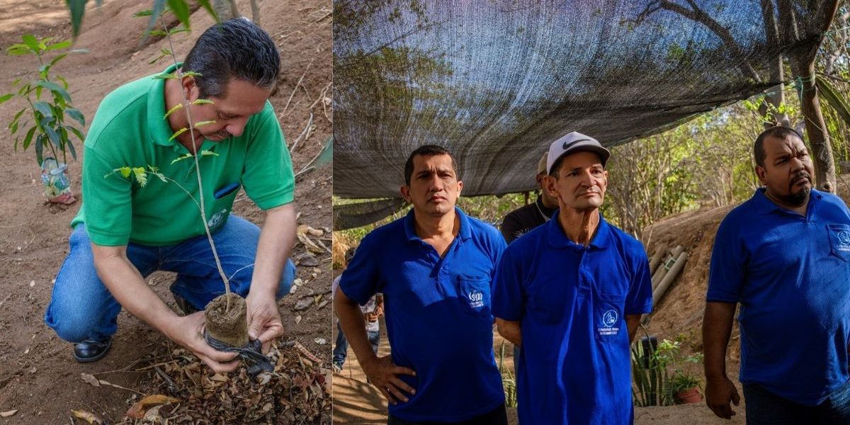Cortesía Conductores del Setp en actividad de siembra de árboles.