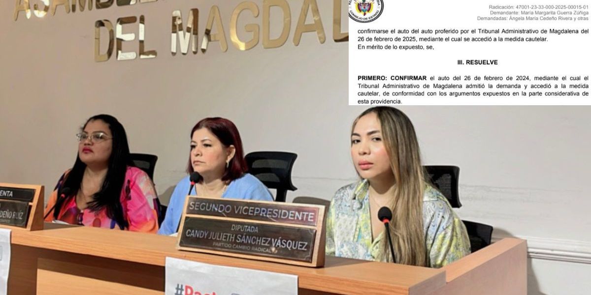 Cortesía Decisión del Consejo de Estado.
