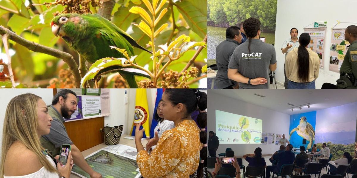 Cortesía Taller liderado por CORPAMAG y PROCAT