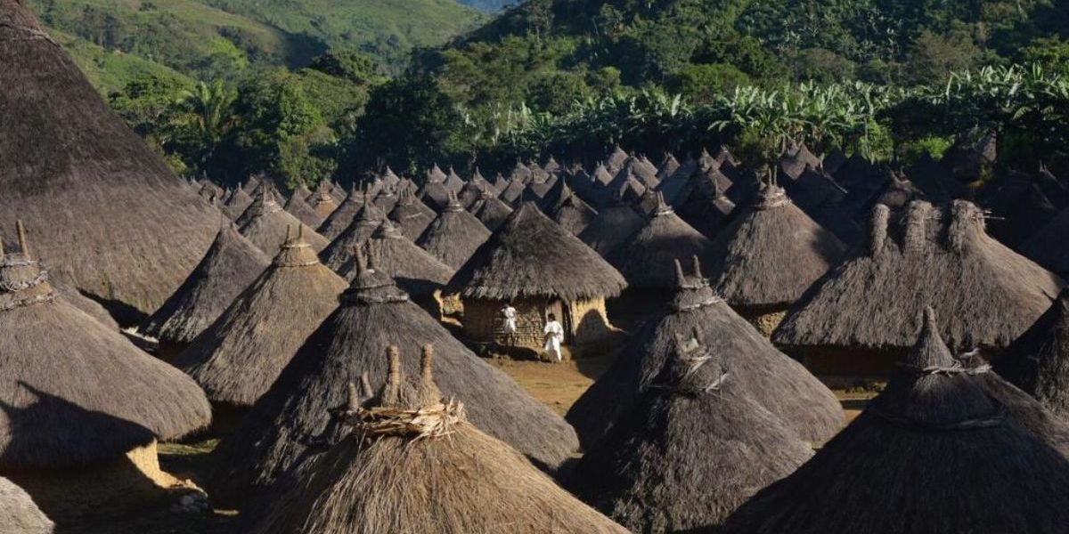 Cortesía Sierra Nevada de Santa Marta.