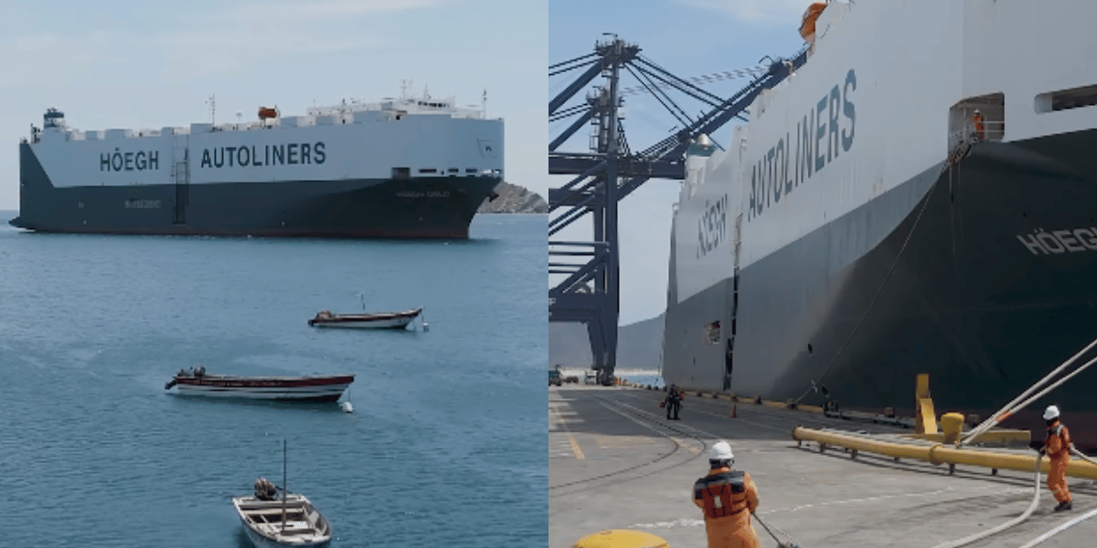 Cortesía Puerto de Santa Marta recibió motonave con 361 vehículos de alta gama