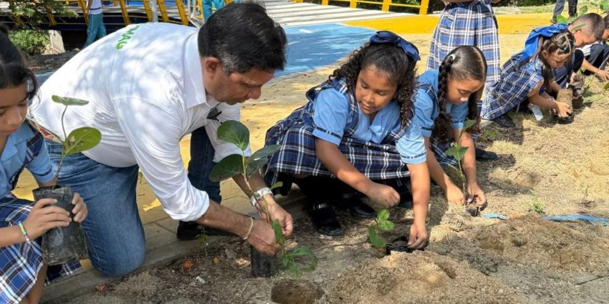 Siembra de árboles.