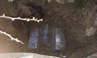 Droga enterrada en Isla Pelícano