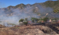 Debido a las fuertes brisas el incendio logró propagarse con rapidez dificultando las labores de supresión.