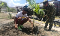 Fueron sembrados ceibas, robles, guayacanes, carretos y 30 palmeras.