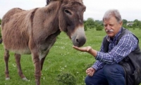 La poca producción de leche de este animal es lo que hace el queso más costoso.