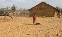 Según el informe, en Colombia 13,2 de cada 100 niños y niñas presentan retraso en el crecimiento –desnutrición crónica-.