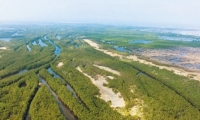 La Ciénaga Grande, es la laguna costera más grande de toda la cuenca del Caribe, con sus 500.000 hectáreas. 